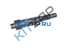 ��� ��� ���������